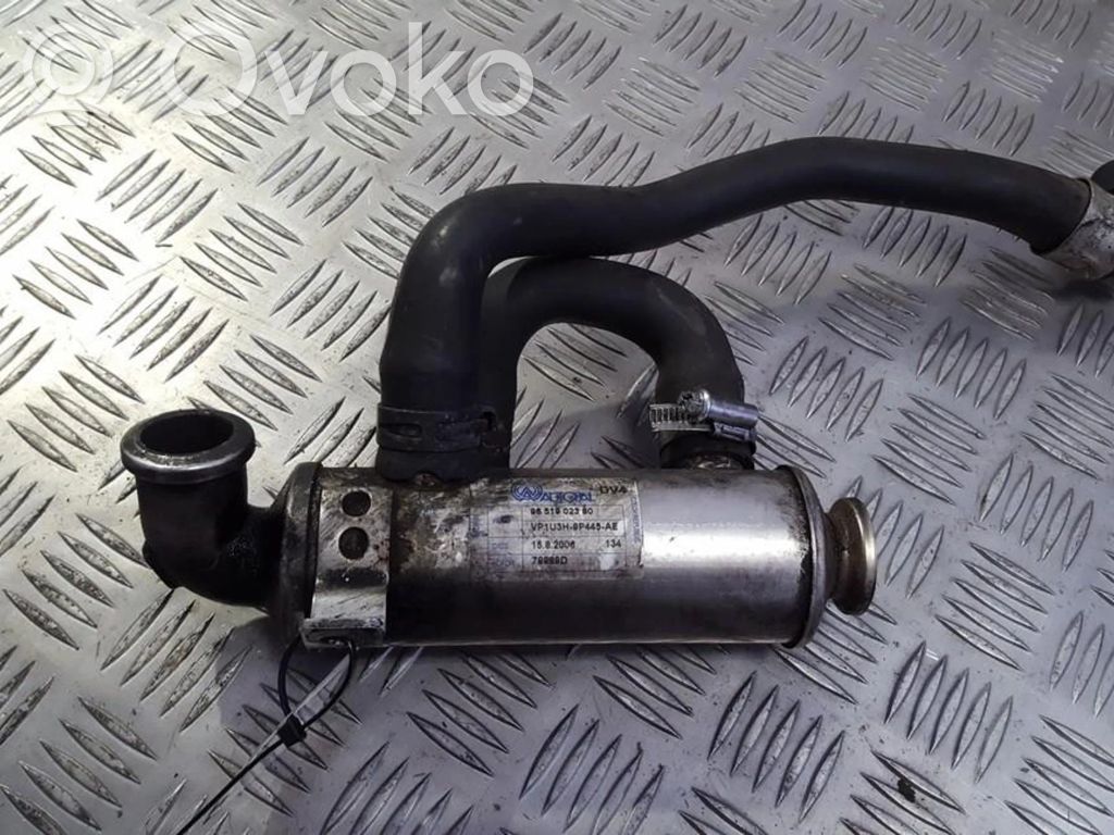 Citroen C2 Răcitor supapă EGR 