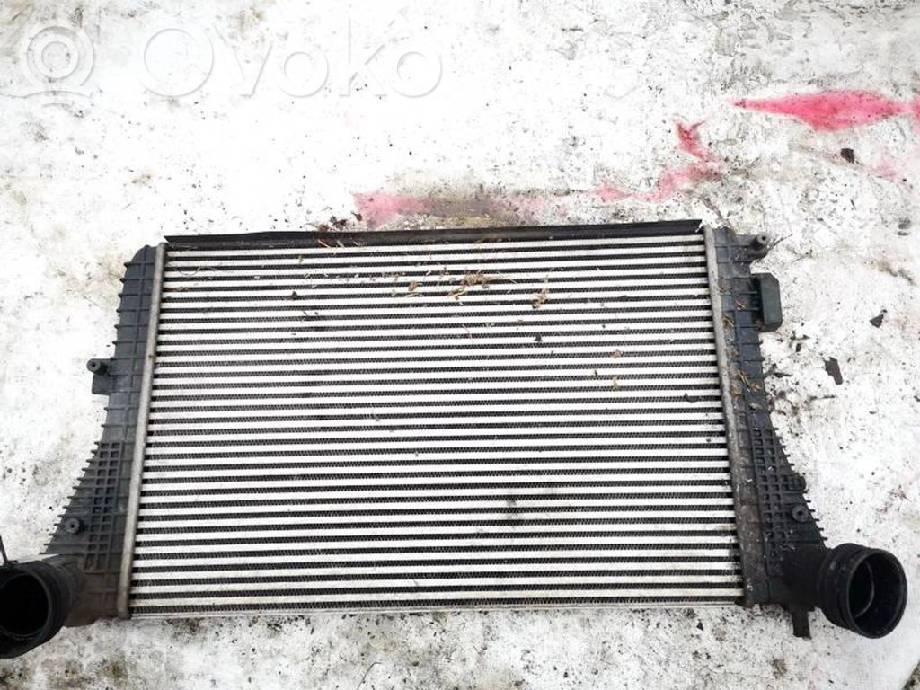 Skoda Octavia Mk2 (1Z) Radiatore intercooler