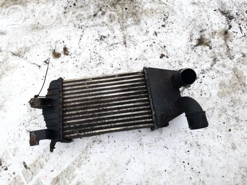 Radiator intercooler