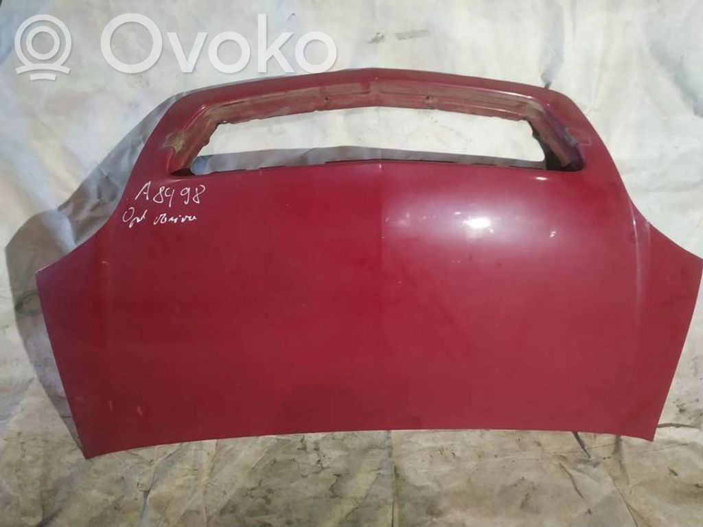 Vano motore/cofano   RAUDONAS,RAUDONAS