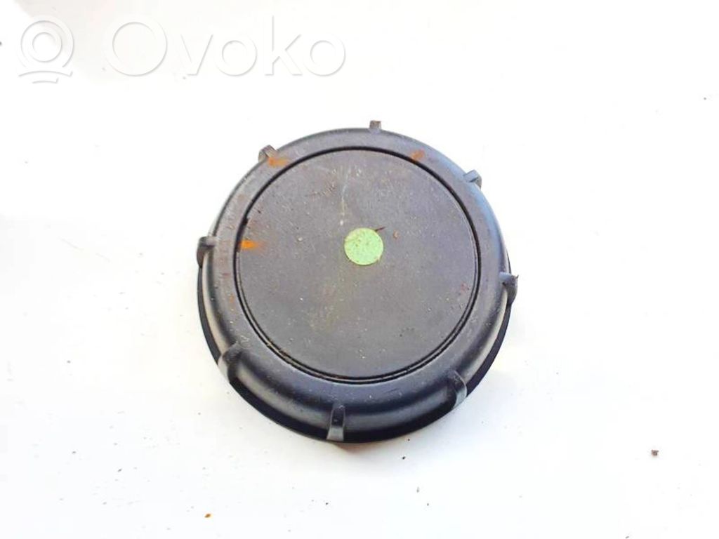 Ford Focus Altra parte interiore 