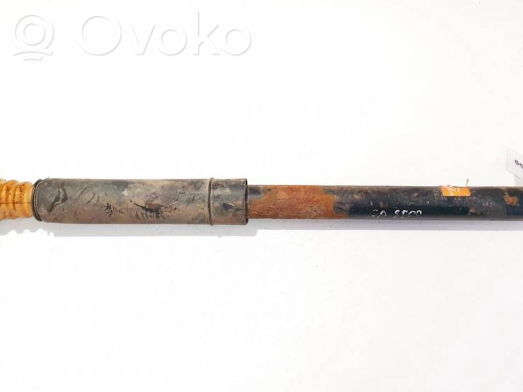 Stoßdämpfer hinten   343419,343419