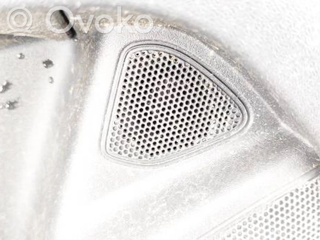 Etuoven kaiutin   31384748,31384748