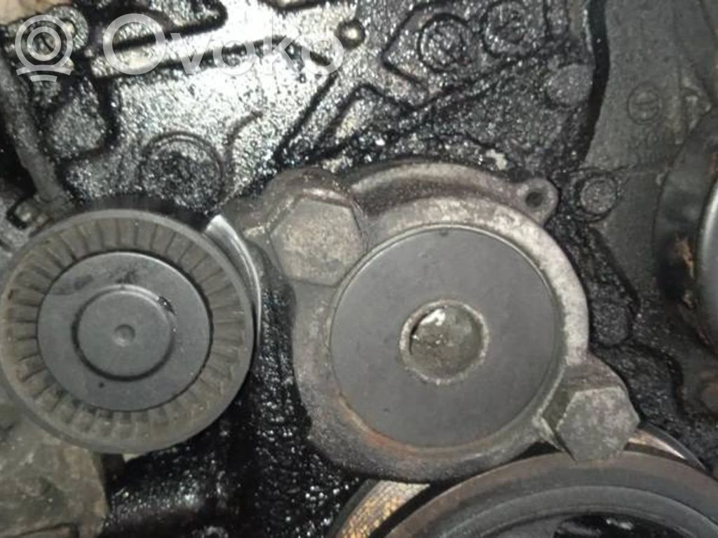 Toyota Corolla Verso AR10 Întinzător curea generator/alternator 