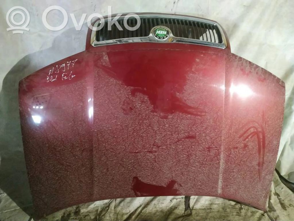 Vano motore/cofano   RAUDONAS,RAUDONAS