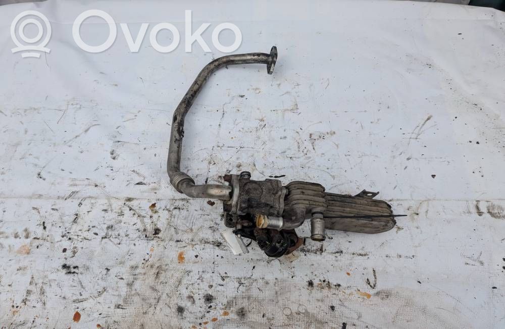 Skoda Octavia Mk2 (1Z) EGR-venttiili/lauhdutin 
