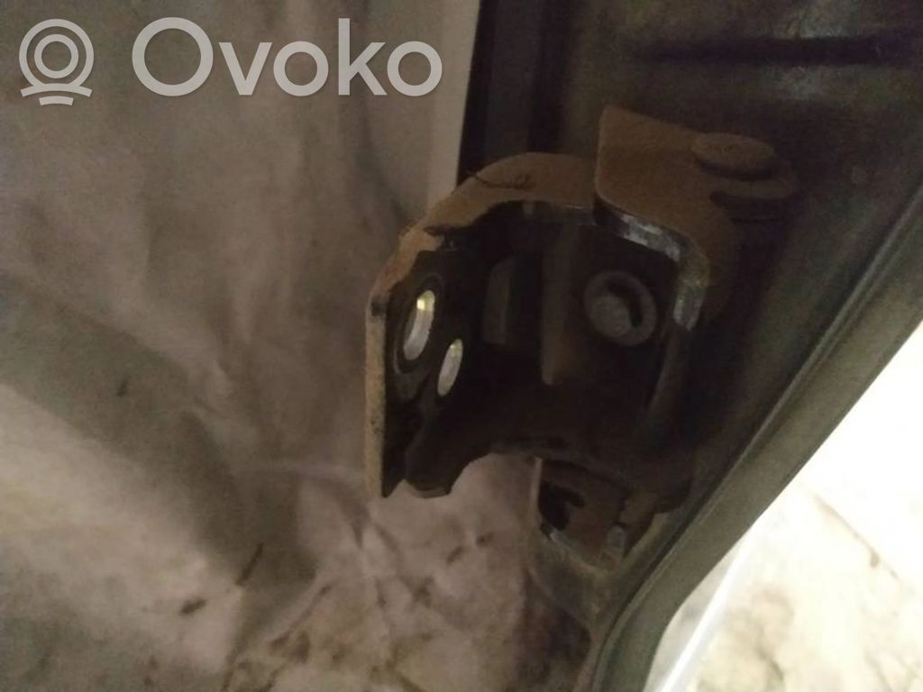Rear door lower hinge