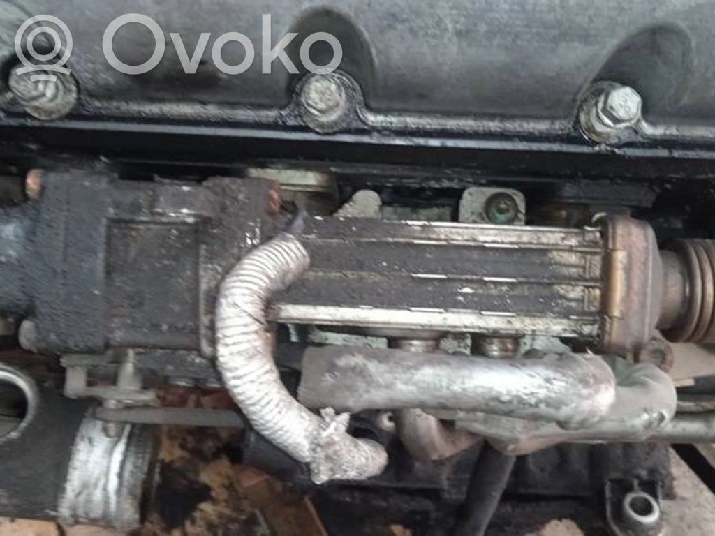 Volkswagen Phaeton Valvola di raffreddamento EGR
