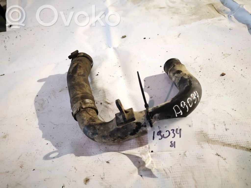Fiat Punto (188) Kühlleitung / Kühlschlauch