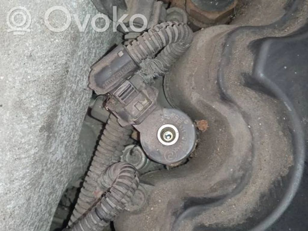 Fiat Stilo Injector combustibil 