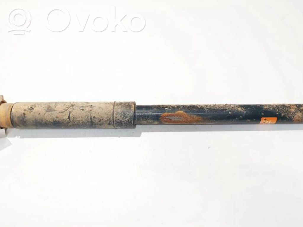 Stoßdämpfer hinten   343419,343419