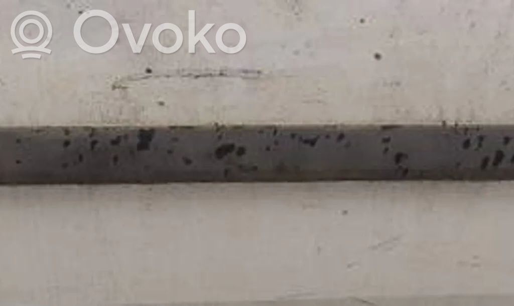 Listón embellecedor de la puerta delantera (moldura)