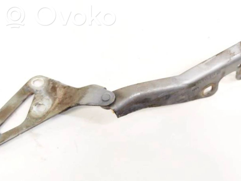 Opel Signum Balamale capotă 
