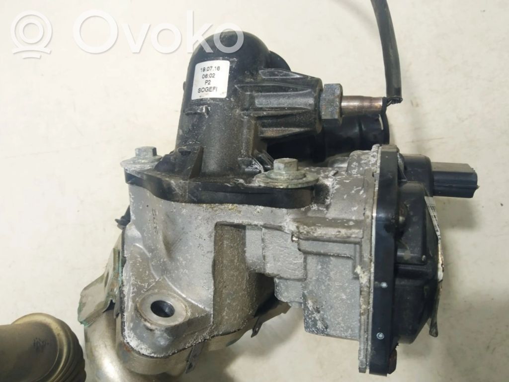 Renault Kadjar Zawór EGR 
