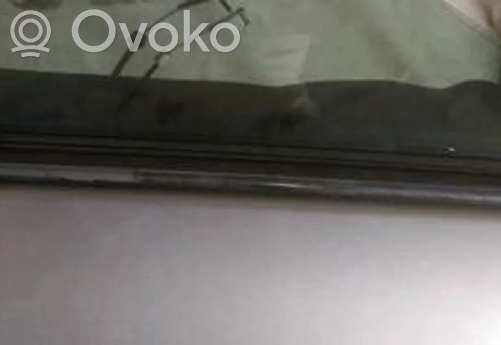 Listón embellecedor de la ventana de la puerta delantera