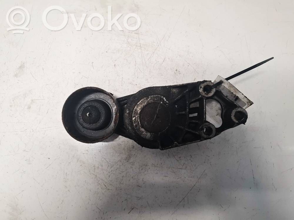 Audi A3 S3 8L Întinzător curea generator/alternator 