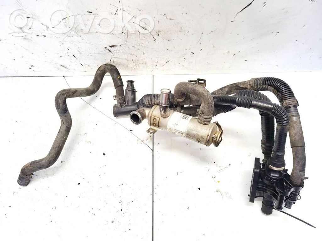 Mazda 3 II Valvola di raffreddamento EGR 