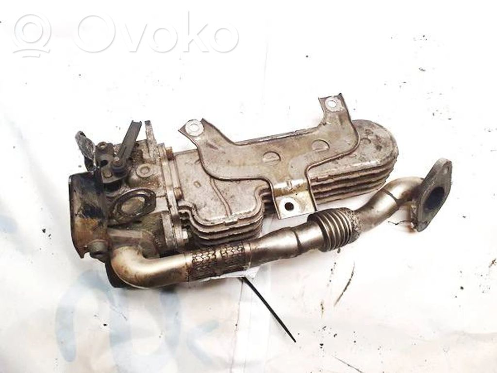 Volkswagen Golf V Refroidisseur de vanne EGR