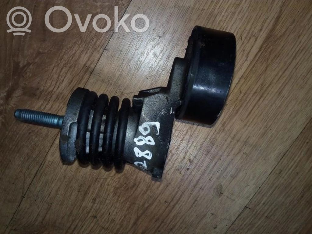 Volkswagen Polo Napinacz paska alternatora 