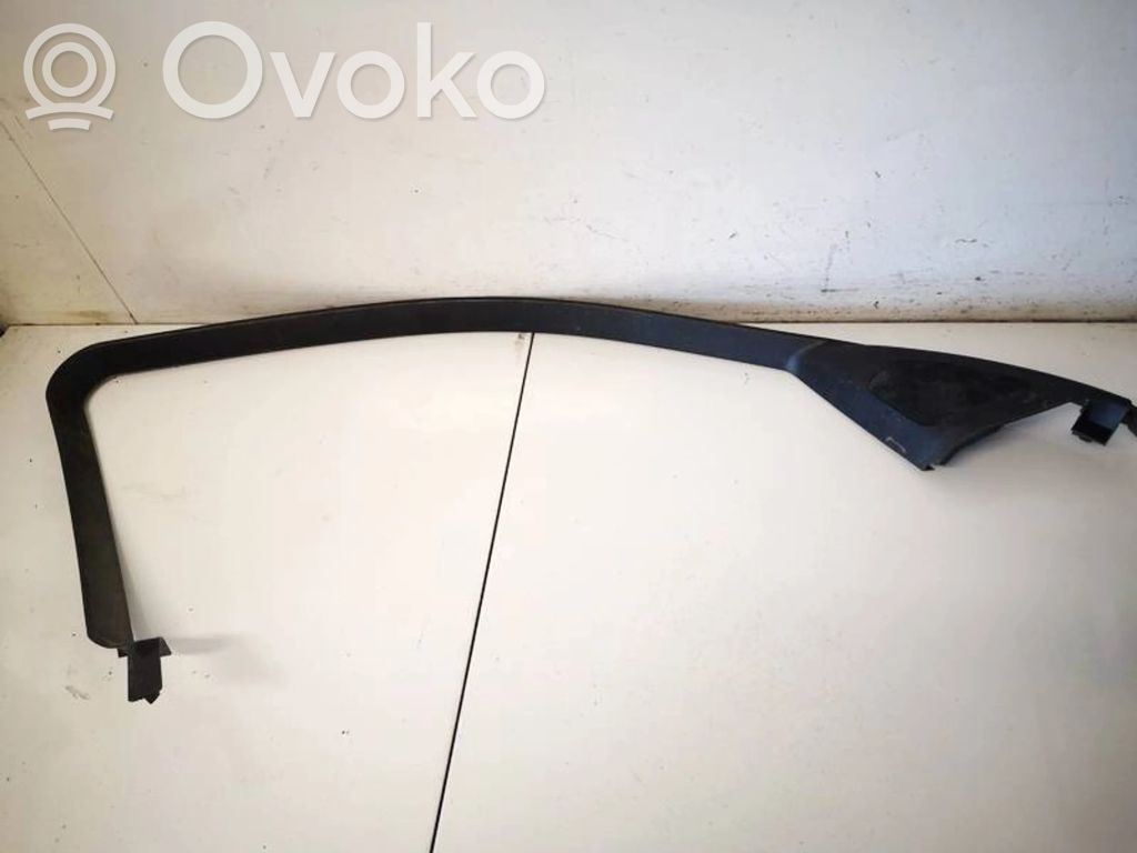 BMW 1 E81 E87 Ornament geam ușă față 