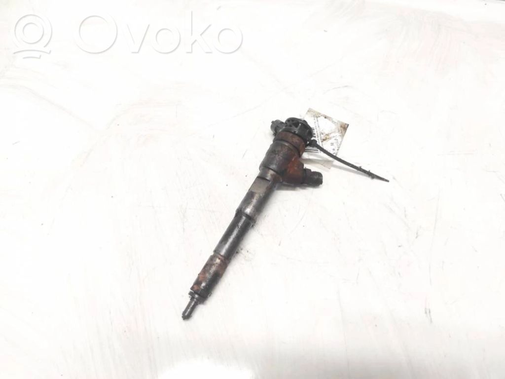 Injector combustibil   0445110485,H8201108033,0445110485,H8201108033