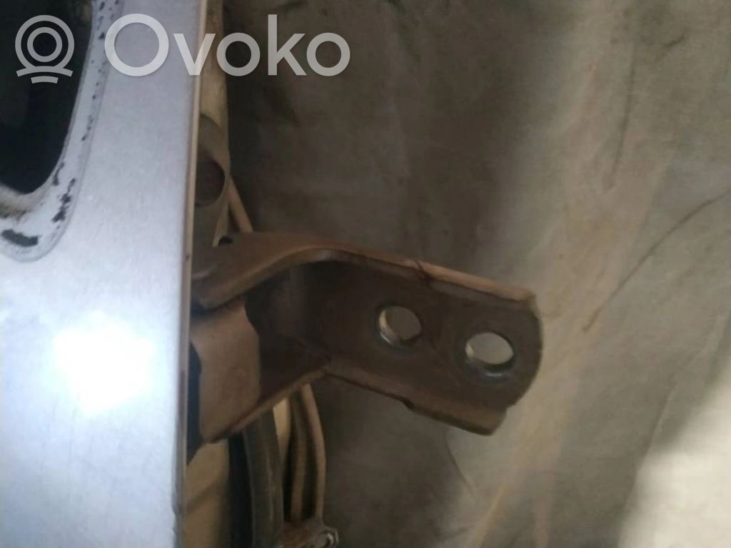 Front door upper hinge