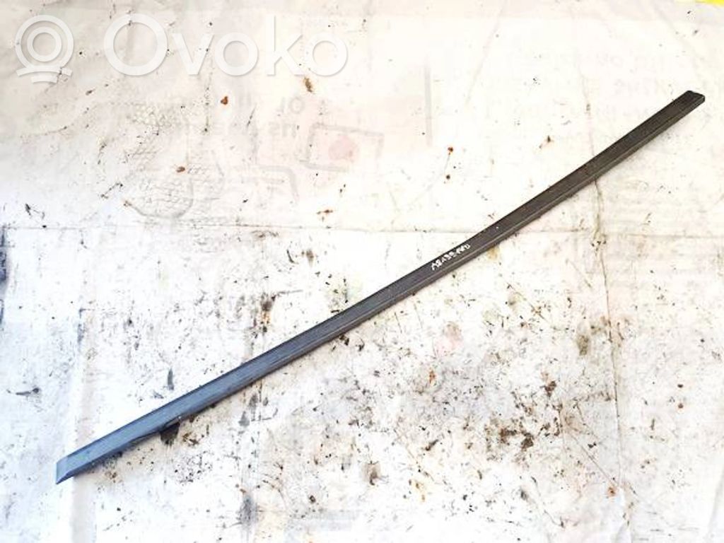 BMW 5 E39 Rivestimento della portiera anteriore (modanatura) 