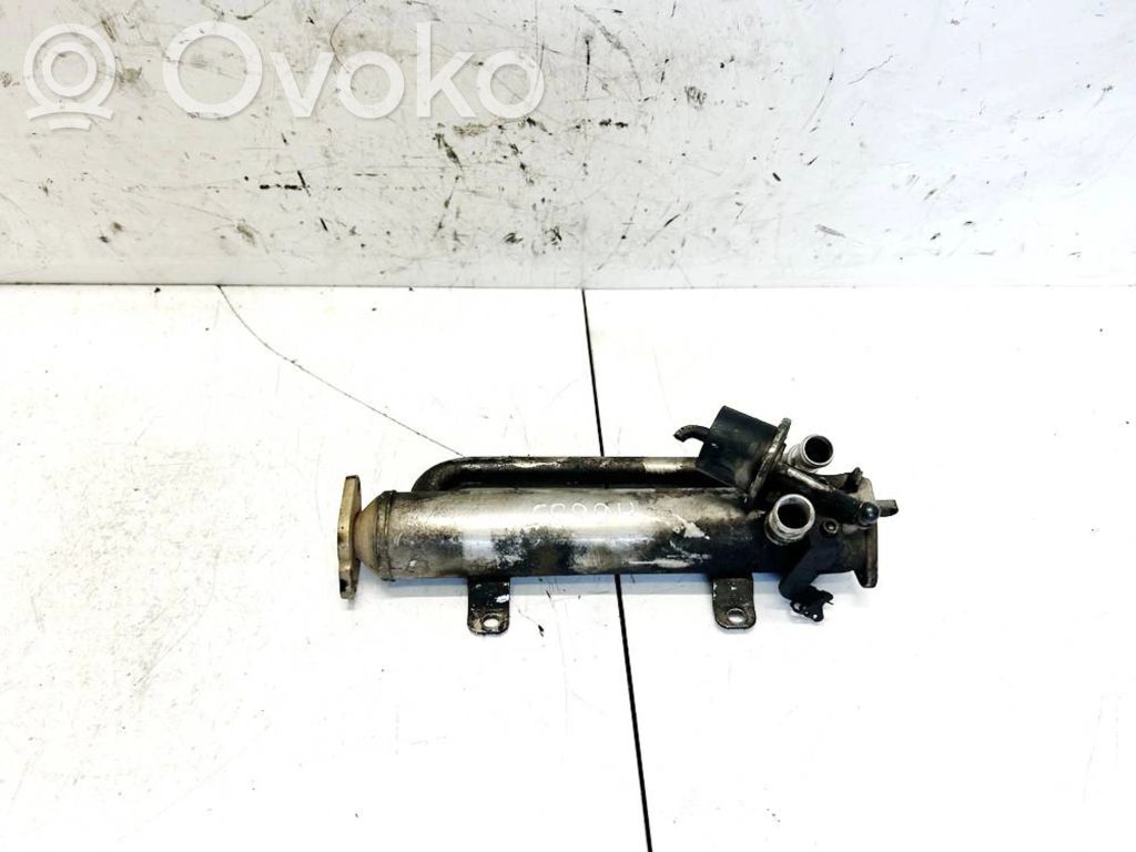 Dodge Journey Refroidisseur de vanne EGR