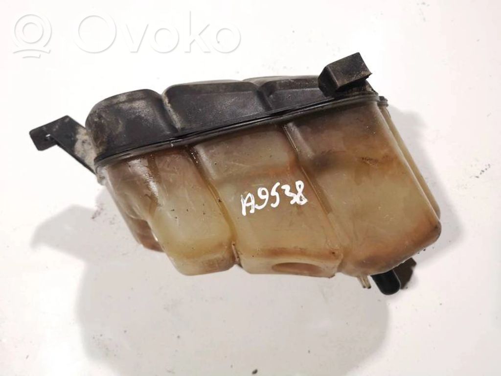 Ford Galaxy Vas expansiune/rezervor lichid de răcire