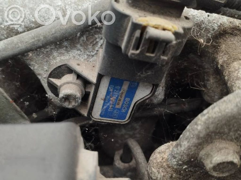 Luftdrucksensor   0281002845,0281002845