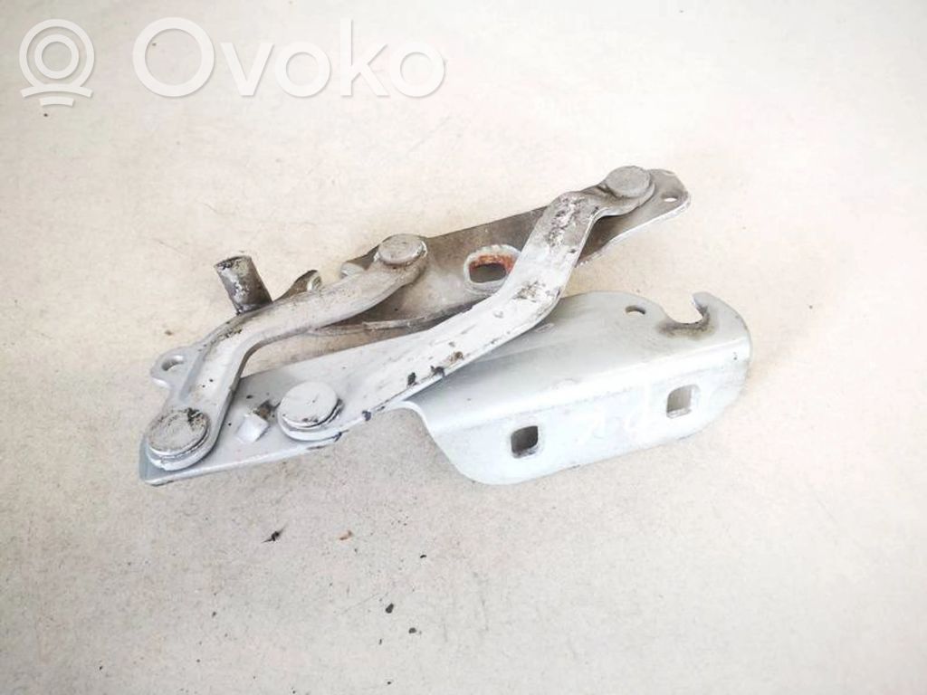 Ford Fiesta Cerniere del vano motore/cofano