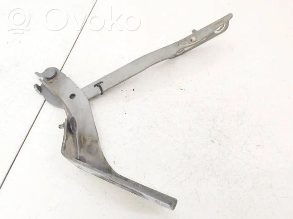Peugeot 307 Balamale capotă 