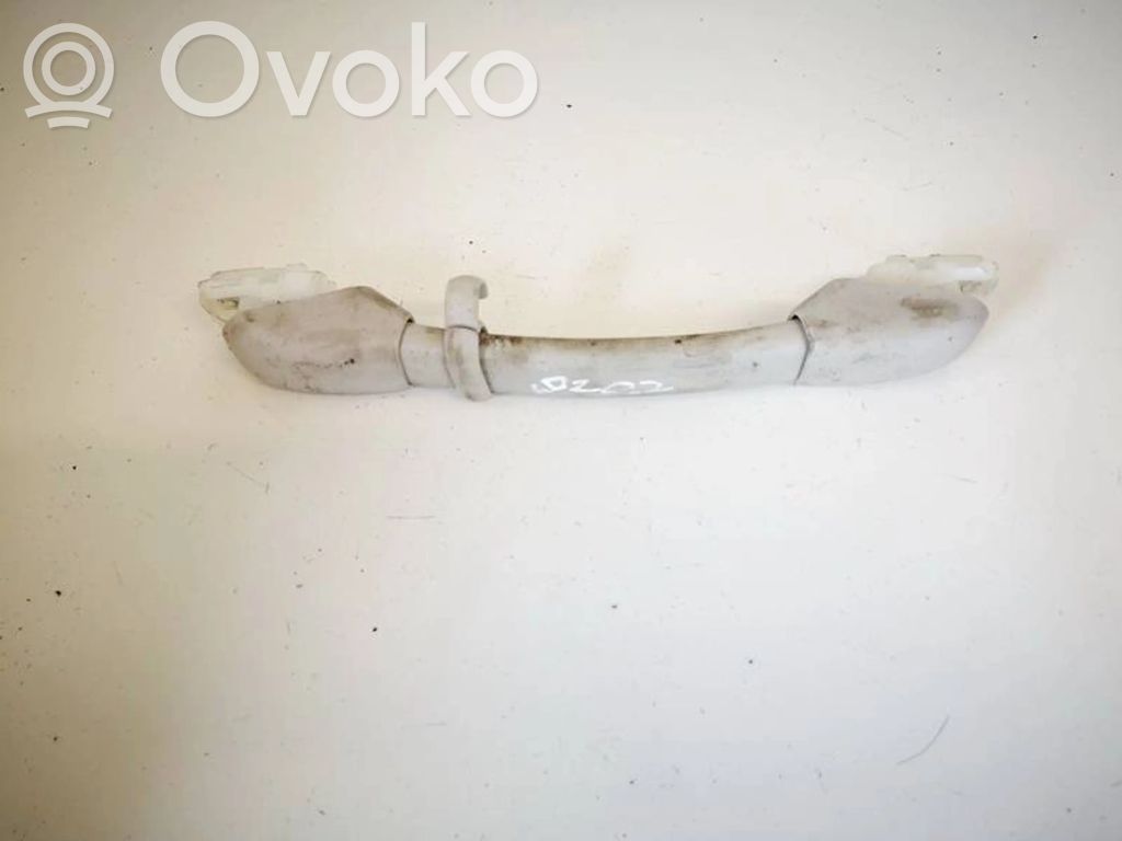 Poignée intérieur plafond