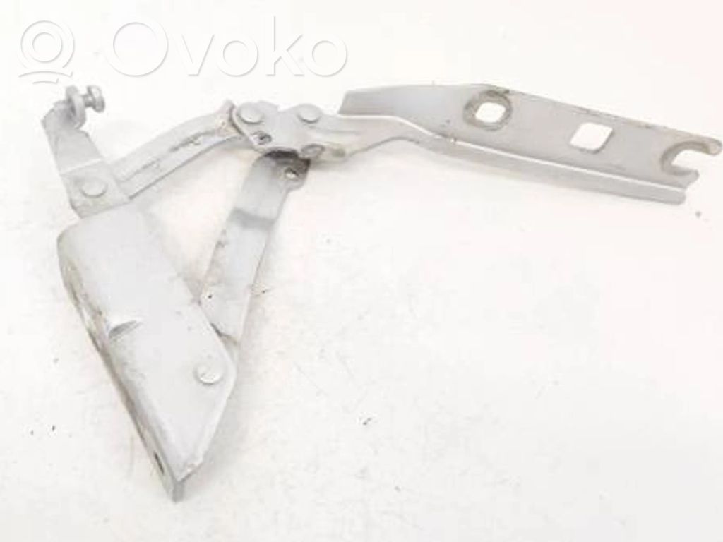 Volkswagen Golf V Cerniere del vano motore/cofano
