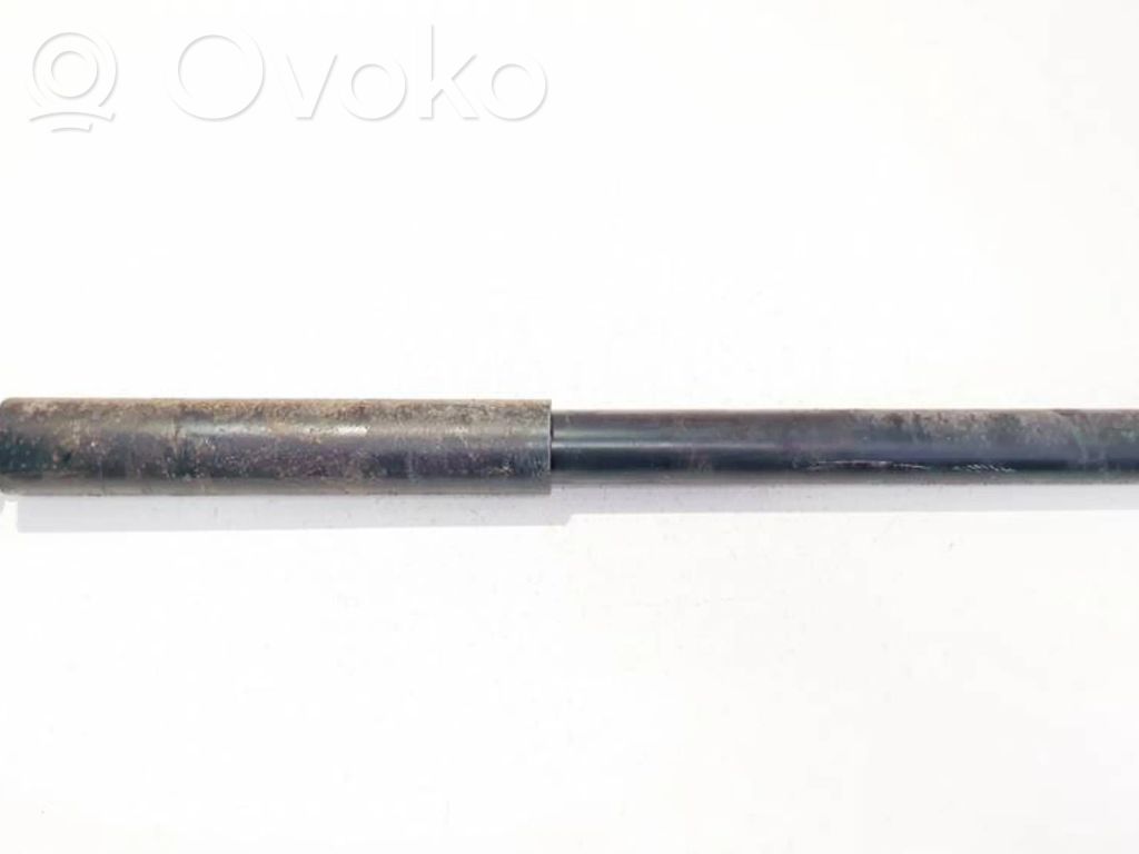 Toyota RAV 4 (XA20) Amortizor spate 