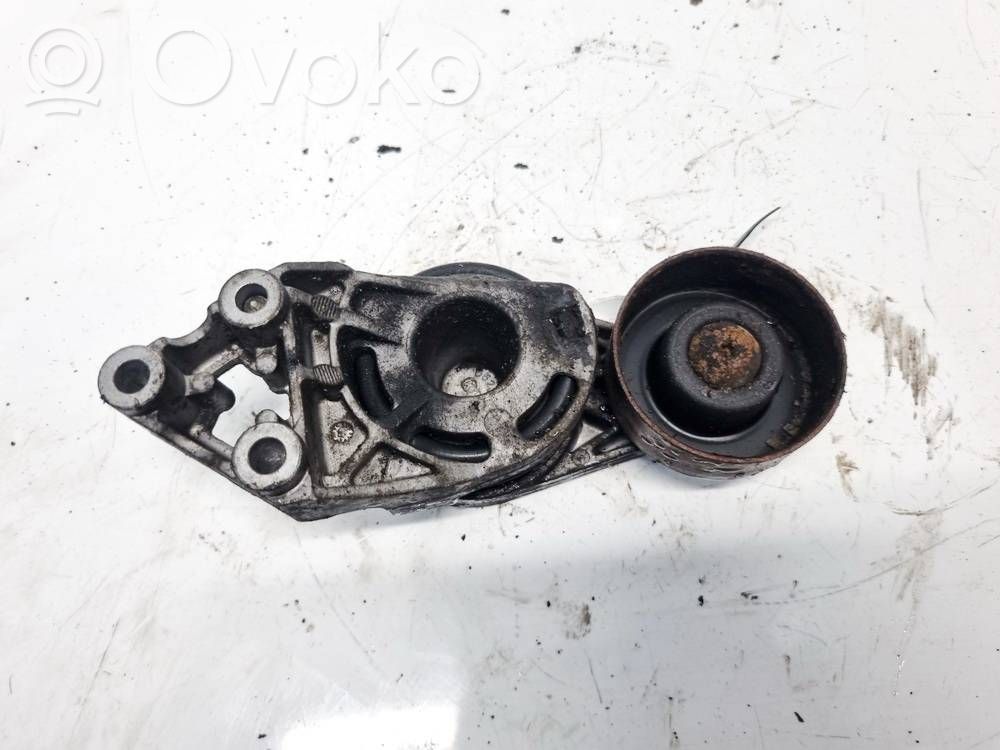 Skoda Fabia Mk2 (5J) Întinzător curea generator/alternator 