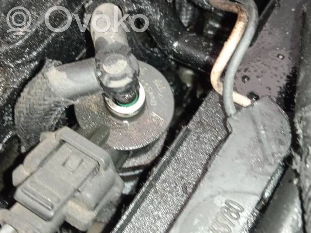 Inyector de combustible   0445110135,0445110135