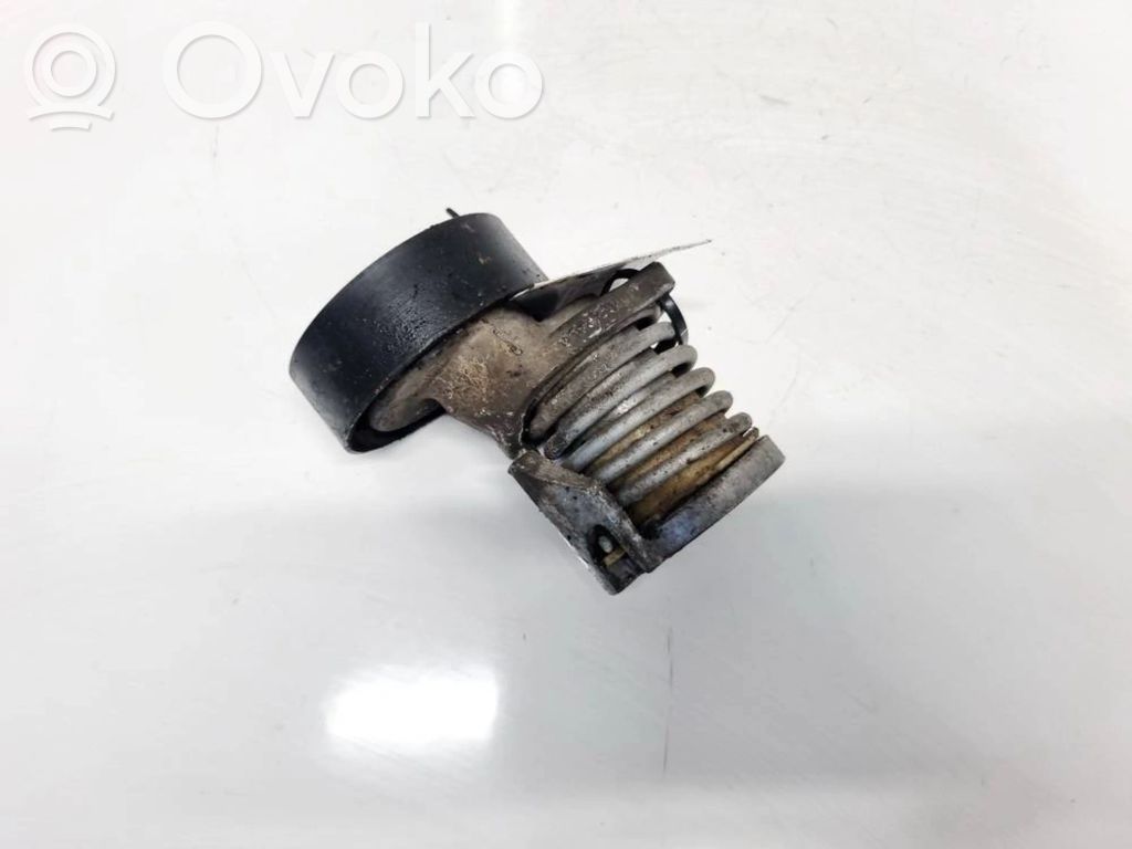Tendicinghia generatore/alternatore   950330,950330