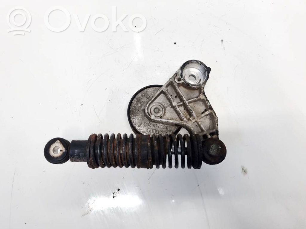 Audi A4 S4 B7 8E 8H Galet tendeur de la courroie