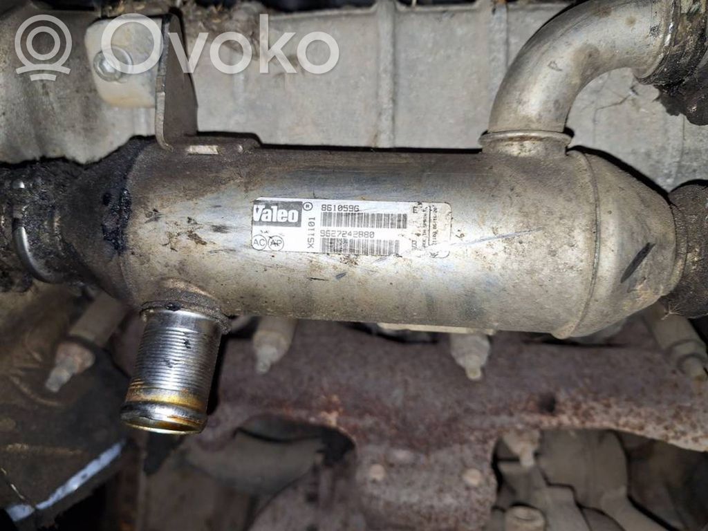 Citroen C5 Valvola di raffreddamento EGR 