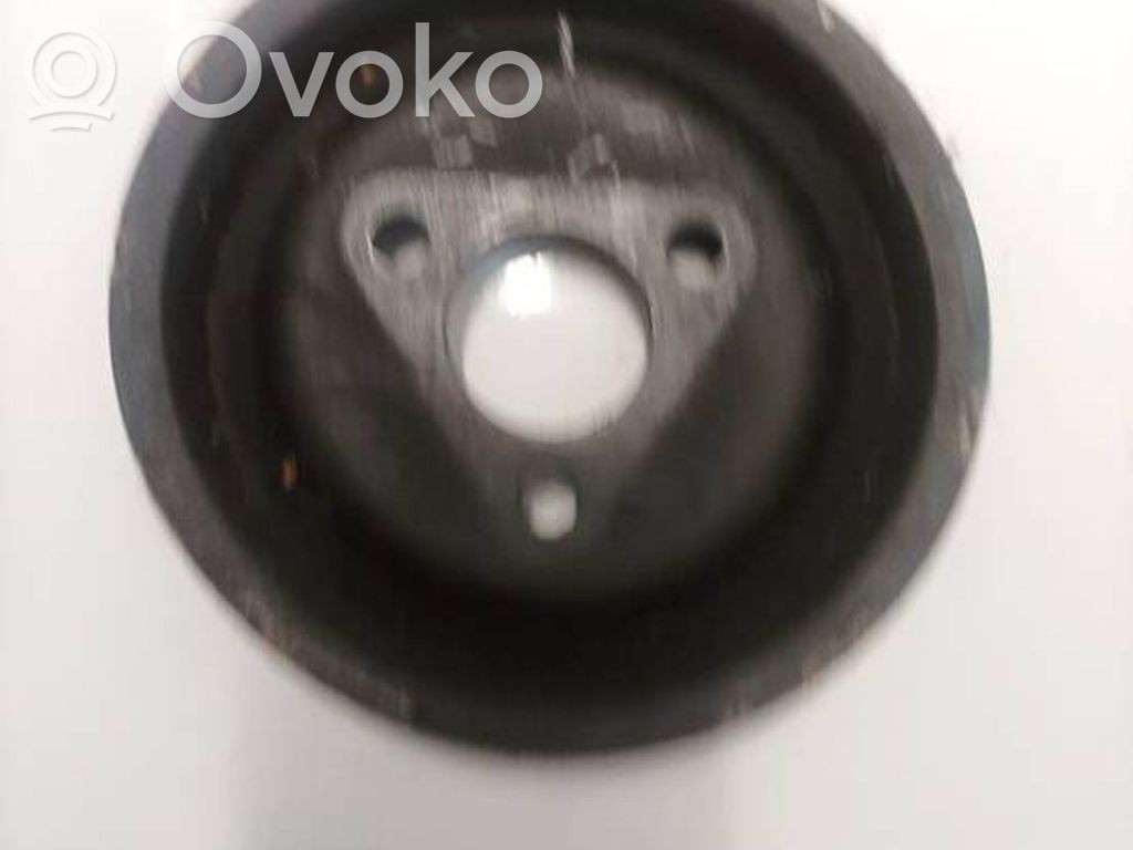 Ohjaustehostimen pumpun hihnapyörä   2246719,2246719