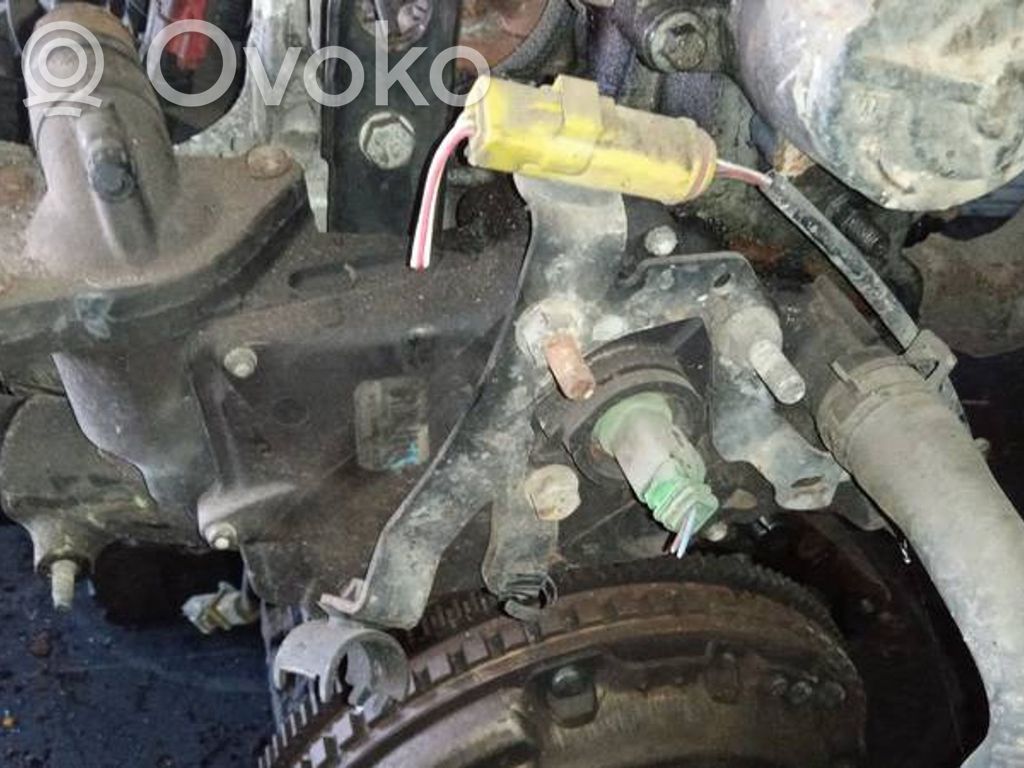 Peugeot 406 Kühlleitung / Kühlschlauch 