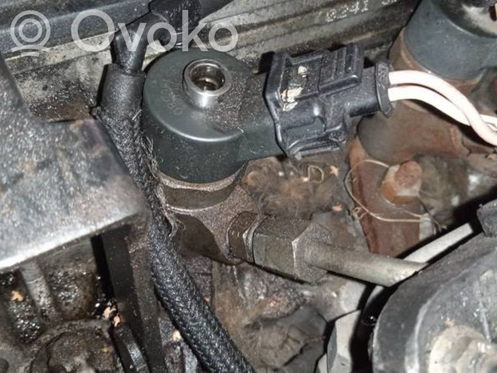 Inyector de combustible   0445110008,9635196580,0445110008,9635196580