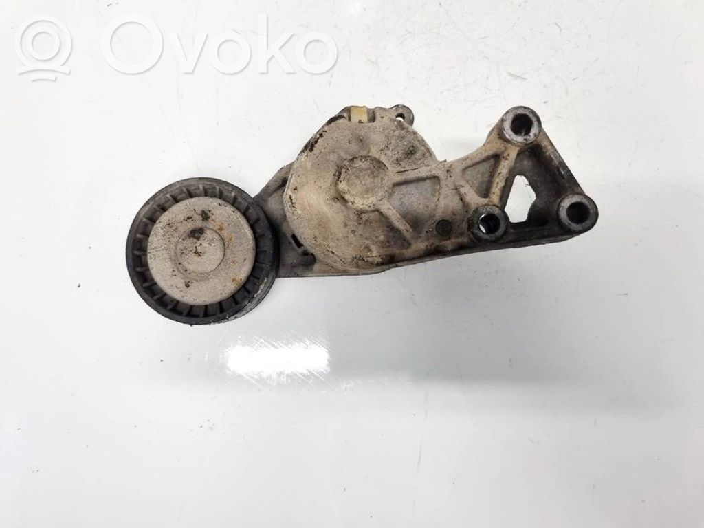 Seat Ibiza II (6k) Tendicinghia generatore/alternatore