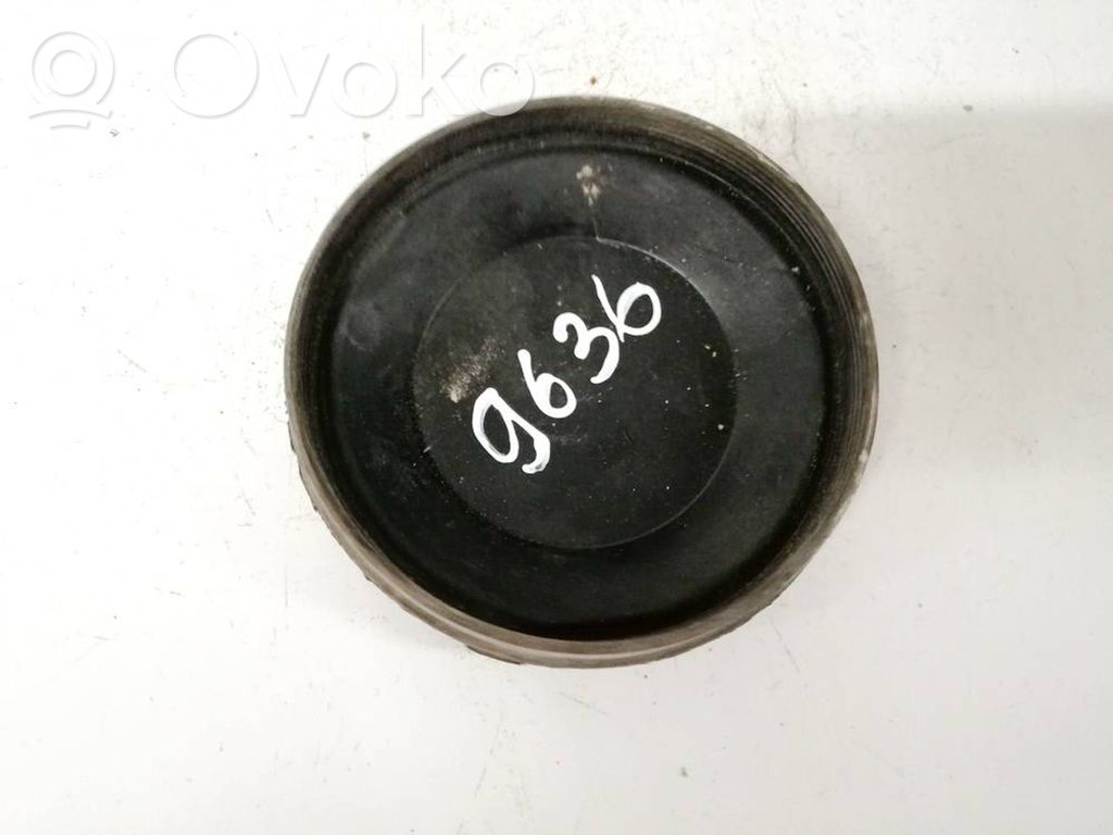 Cache-poussière de phare avant   15566500,15566500