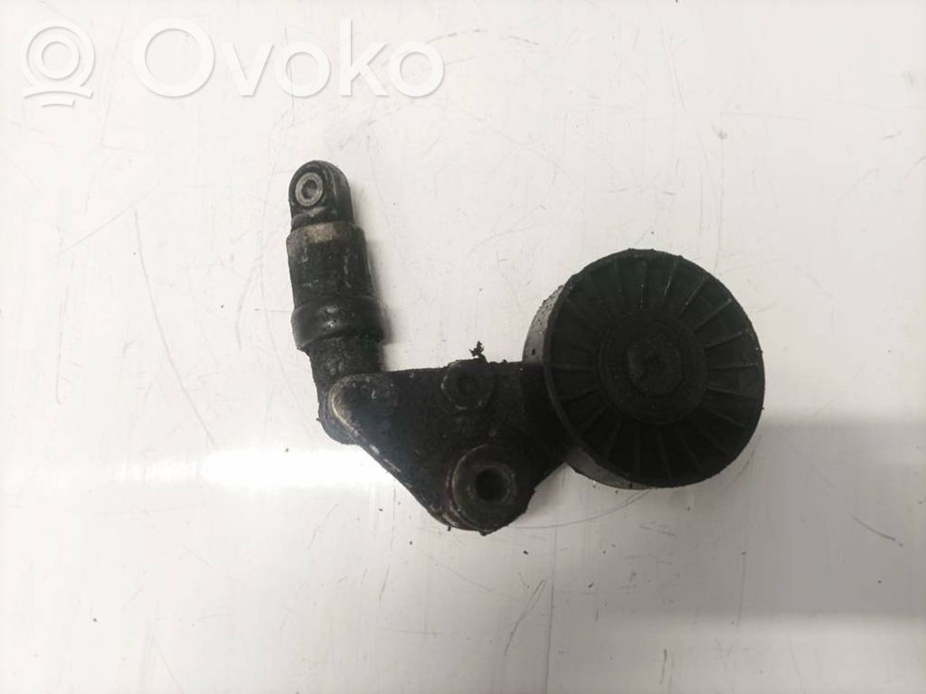 Tendicinghia generatore/alternatore   09180809,09180809