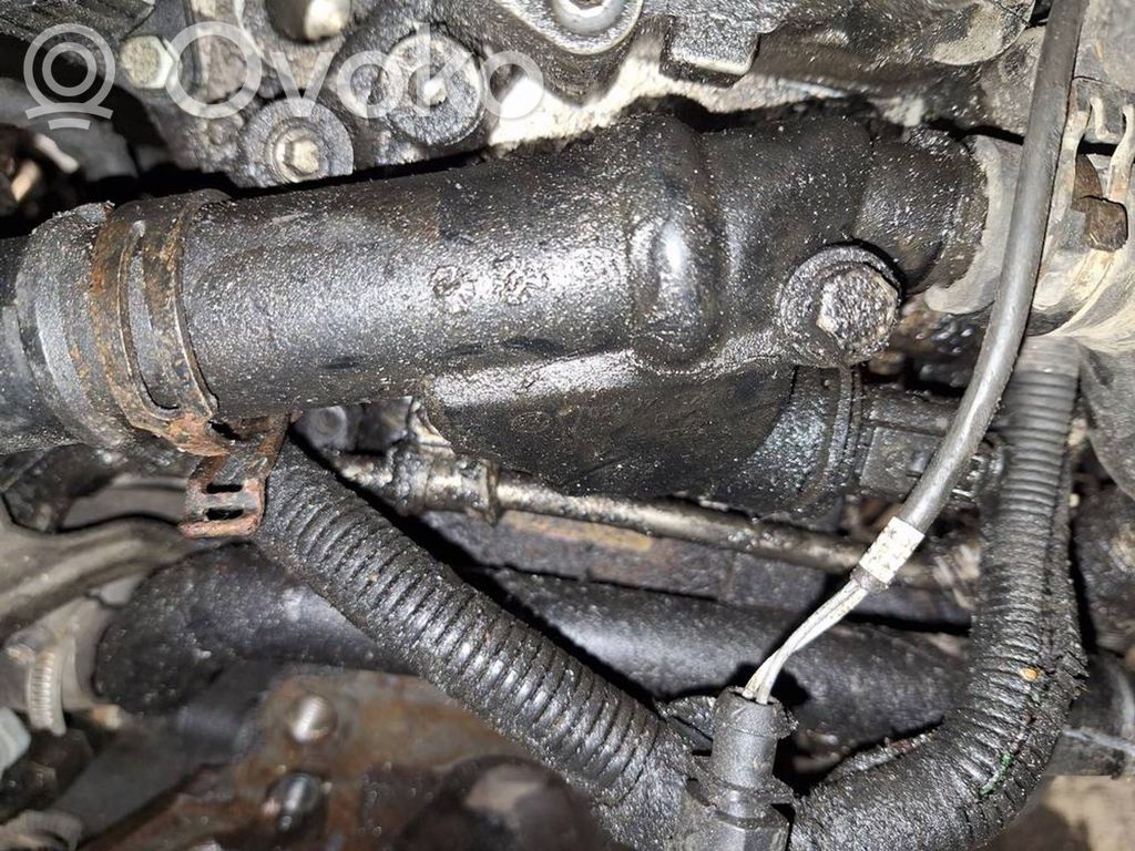 Volkswagen PASSAT B6 Tubo flessibile del liquido di raffreddamento del motore