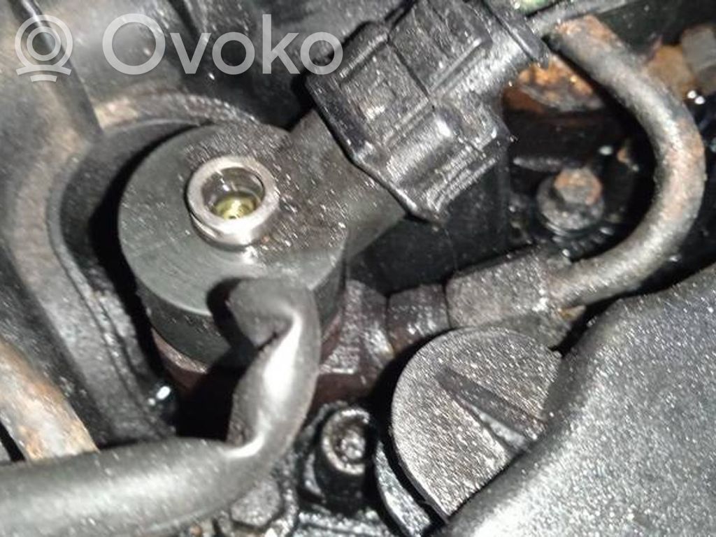 Inyector de combustible   0445110239,0445110239