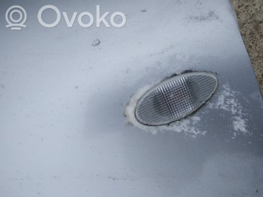 Seitenblinker