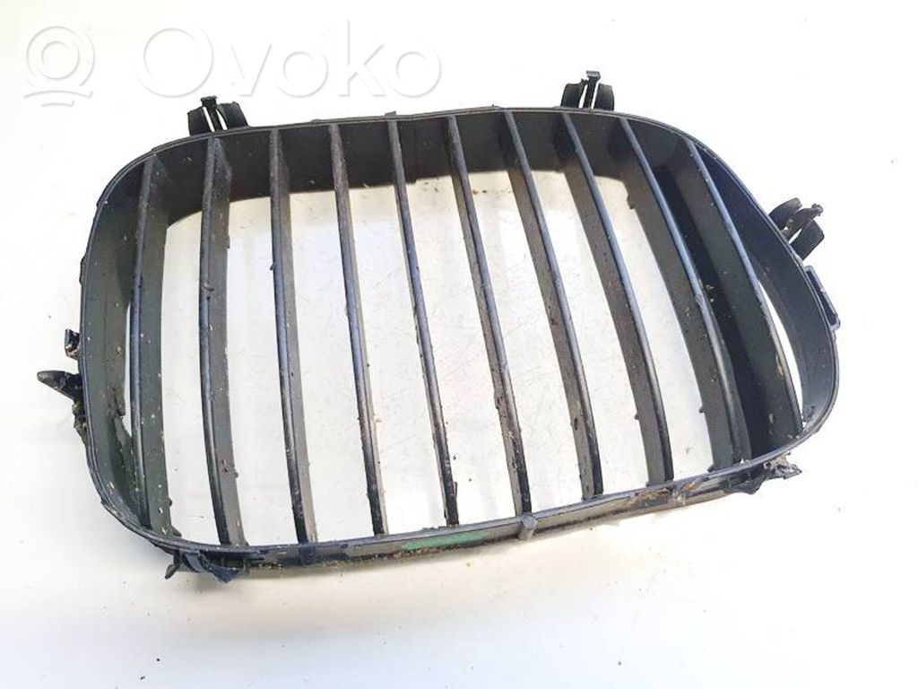 BMW 5 E39 Kühlergrill 